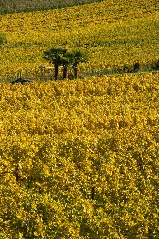 Weingut Wolkanhof Eppan an der Weinstraße Exterior foto