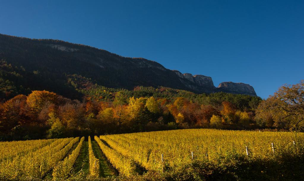 Weingut Wolkanhof Eppan an der Weinstraße Exterior foto