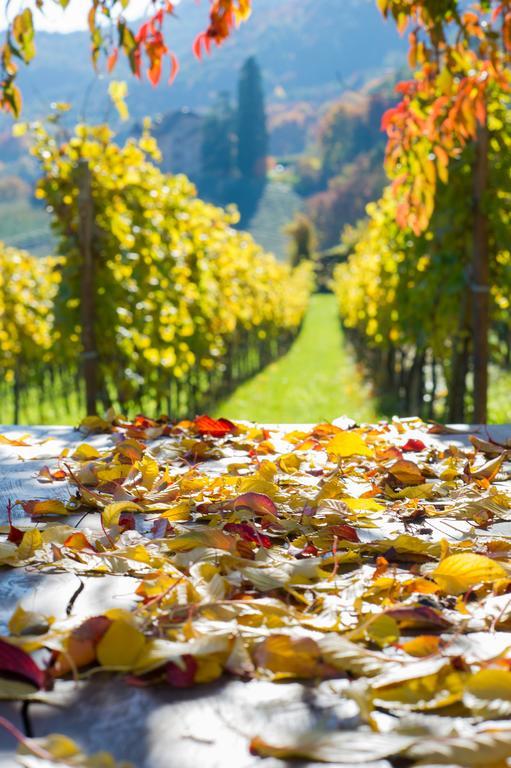 Weingut Wolkanhof Eppan an der Weinstraße Exterior foto